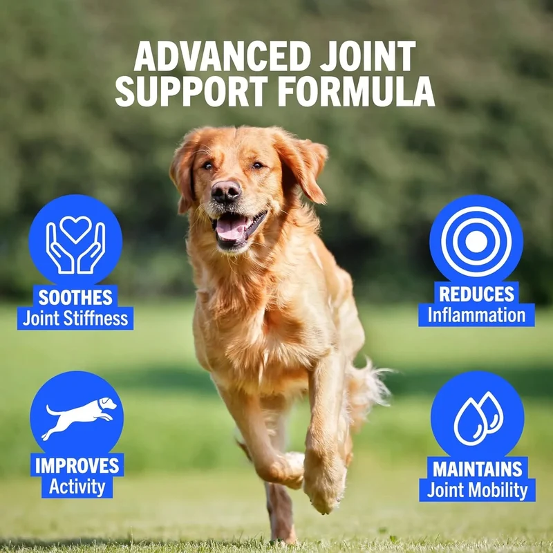JOINTSURE Condroprotetor cães I com grande concentração de mexilhão lábios verdes, glucosamina e condroitina natural I suplemento anti-inflamatório para articulações I 60 I 120 I 300 comprimidos