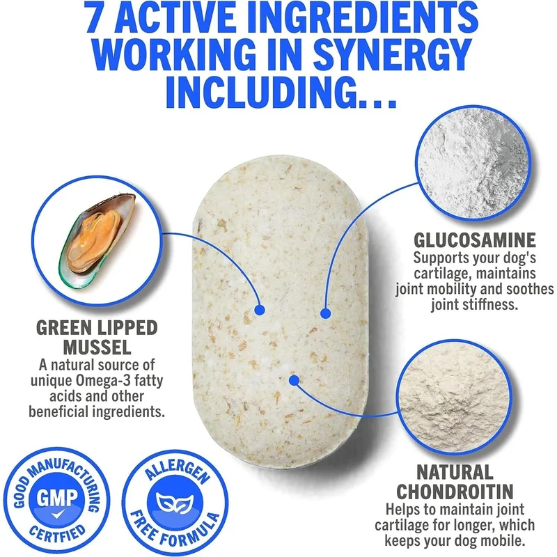 JOINTSURE Condroprotetor cães I com grande concentração de mexilhão lábios verdes, glucosamina e condroitina natural I suplemento anti-inflamatório para articulações I 60 I 120 I 300 comprimidos