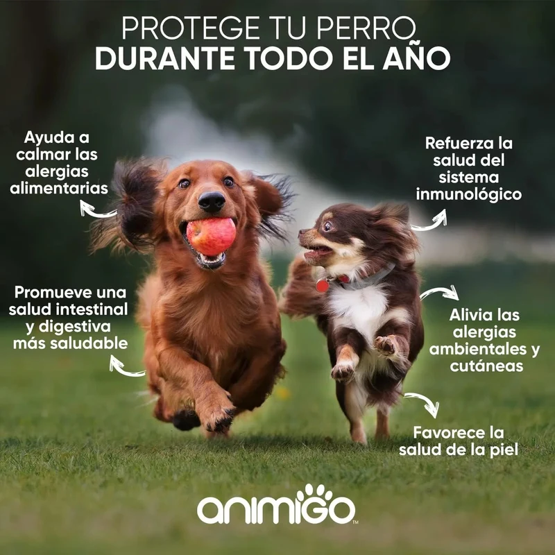 Suplemento natural alergias para aliviar a comichão em cães - 120 comprimidos sabor de frango | complemento hipoalergénico de Psyllium, sementes de linho e açafrão | anti-inflamatório
