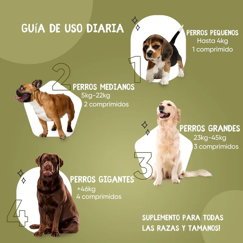 Suplemento natural alergias para aliviar a comichão em cães - 120 comprimidos sabor de frango | complemento hipoalergénico de Psyllium, sementes de linho e açafrão | anti-inflamatório