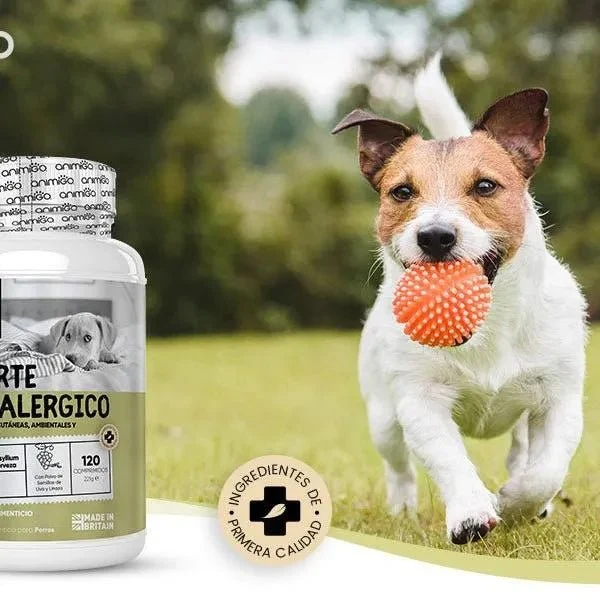 Suplemento natural alergias para aliviar a comichão em cães - 120 comprimidos sabor de frango | complemento hipoalergénico de Psyllium, sementes de linho e açafrão | anti-inflamatório