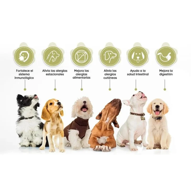 Suplemento natural alergias para aliviar a comichão em cães - 120 comprimidos sabor de frango | complemento hipoalergénico de Psyllium, sementes de linho e açafrão | anti-inflamatório