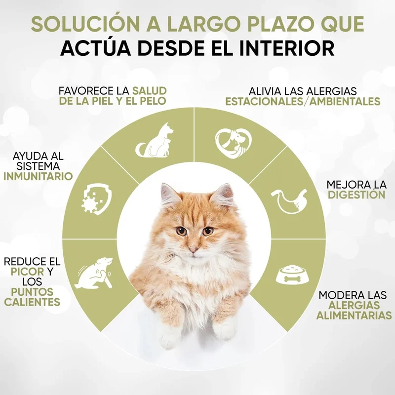 Gotas anti-comichão para cães e gatos 250 ml - ação eficaz contra a comichão, ideal para alergias a ervas, pólen e alimentos dos seus animais de estimação, alivia a comichão em gatos e cães