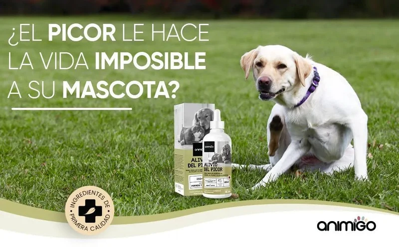 Gotas anti-comichão para cães e gatos 250 ml - ação eficaz contra a comichão, ideal para alergias a ervas, pólen e alimentos dos seus animais de estimação, alivia a comichão em gatos e cães