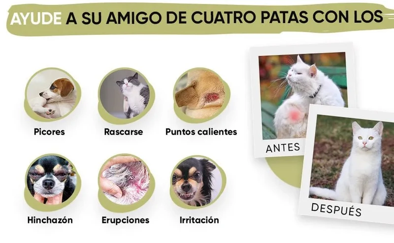 Gotas anti-comichão para cães e gatos 250 ml - ação eficaz contra a comichão, ideal para alergias a ervas, pólen e alimentos dos seus animais de estimação, alivia a comichão em gatos e cães