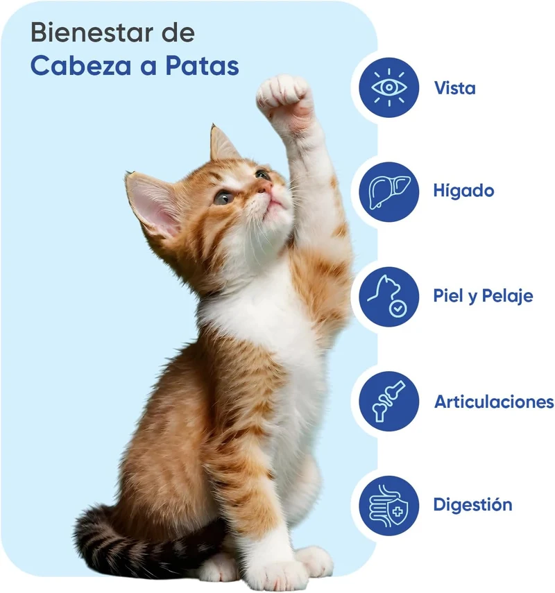 Animigo Multivitaminas e Minerais para gato: 18 vitaminas e minerais para apoio imunológico, pele, pêlo e articulações- embalagem 120 biscoitos mastigáveis