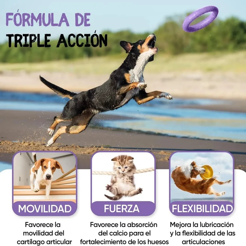 Complexo de glucosamina e condroitina para cães e gatos, alvo articulações e ossos fortes, 120 cápsulas, condroprotetor e anti-inflamatório, com vitamina C, açafrão, gengibre e rosa mosquito