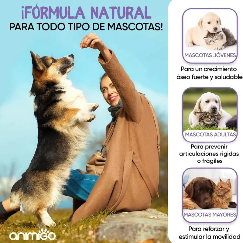 Complexo de glucosamina e condroitina para cães e gatos, alvo articulações e ossos fortes, 120 cápsulas, condroprotetor e anti-inflamatório, com vitamina C, açafrão, gengibre e rosa mosquito