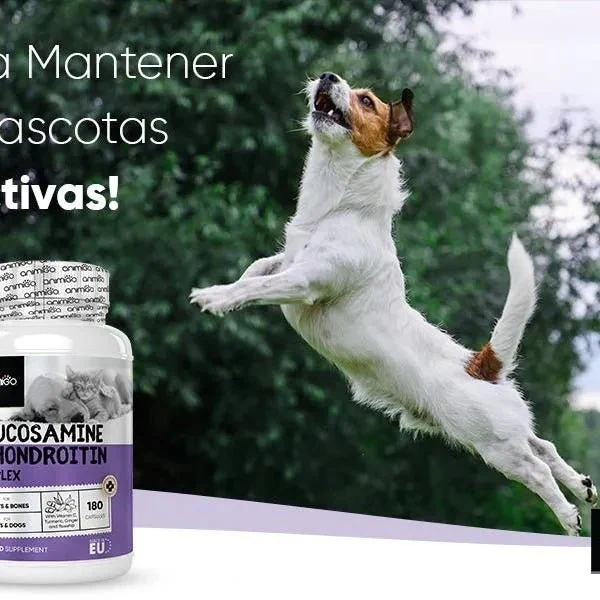 Complexo de glucosamina e condroitina para cães e gatos, alvo articulações e ossos fortes, 120 cápsulas, condroprotetor e anti-inflamatório, com vitamina C, açafrão, gengibre e rosa mosquito