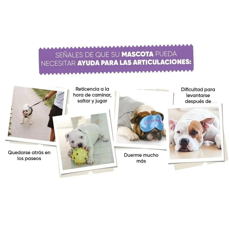 Complexo de glucosamina e condroitina para cães e gatos, alvo articulações e ossos fortes, 120 cápsulas, condroprotetor e anti-inflamatório, com vitamina C, açafrão, gengibre e rosa mosquito