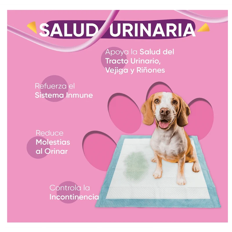 Suplemento para a saúde urinária de cães, 120 comprimidos sabor vitela - ajuda natural para o trato urinário e bexiga com, mirtilo vermelho, fonte de antioxidantes, vitaminas e minerais