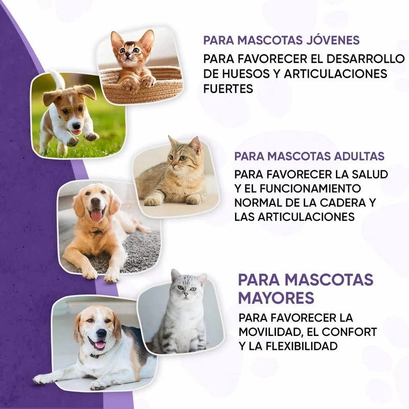 Condroprotetor e anti-inflamatório para cães e gatos, 120 comprimidos mastigáveis, com glucosamina condroitina, MSM, ácido hialurónico, canela e açafrão, para raças grandes e pequenas, articulações e anca