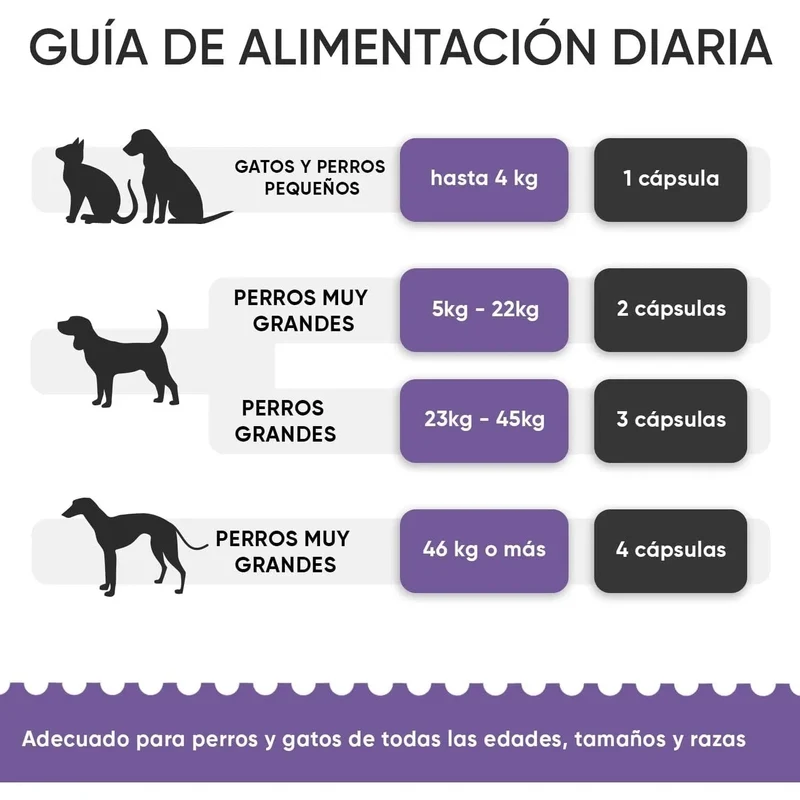 Condroprotetor e anti-inflamatório para cães e gatos, 120 comprimidos mastigáveis, com glucosamina condroitina, MSM, ácido hialurónico, canela e açafrão, para raças grandes e pequenas, articulações e anca