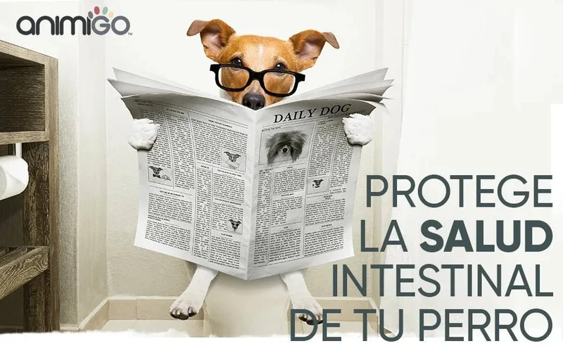 Probióticos, prebióticos e enzimas digestivas para cães 120 comprimidos sabor a frango, - ajuda a digestão e o sistema imunitário