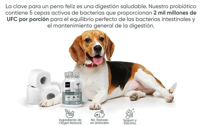 Probióticos, prebióticos e enzimas digestivas para cães 120 comprimidos sabor a frango, - ajuda a digestão e o sistema imunitário