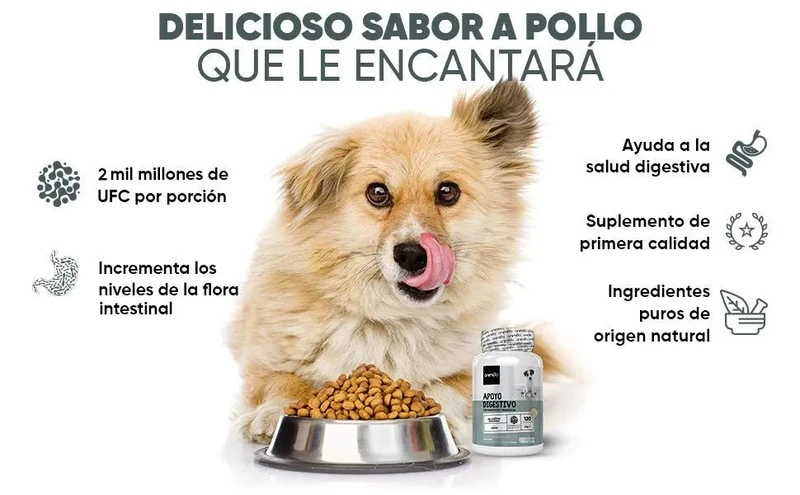 Probióticos, prebióticos e enzimas digestivas para cães 120 comprimidos sabor a frango, - ajuda a digestão e o sistema imunitário