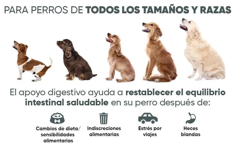Probióticos, prebióticos e enzimas digestivas para cães 120 comprimidos sabor a frango, - ajuda a digestão e o sistema imunitário