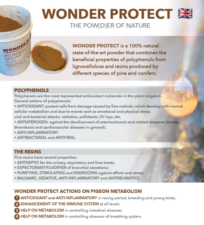 Wonder Pigeon – Wonder Protect 500 g (Antioxidans – Immunsystem – Stoffwechsel) 100 % natürlich