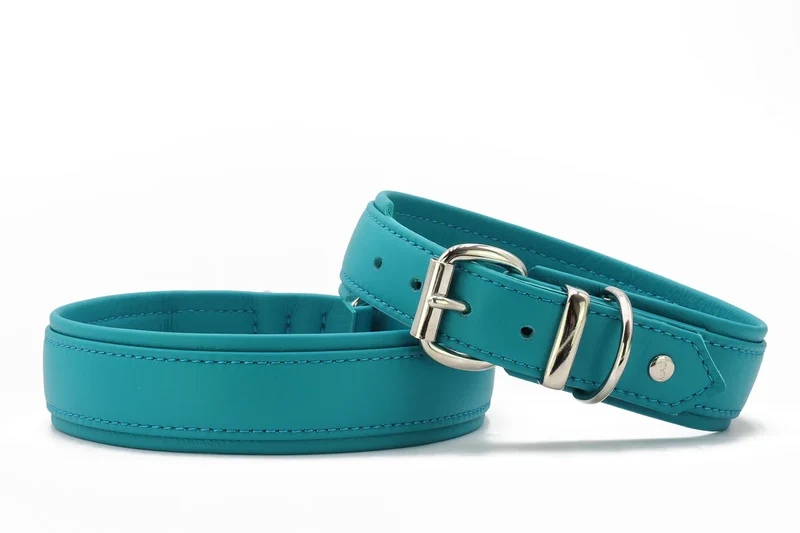 Halsband Klassik Soft Holi Color - Türkis