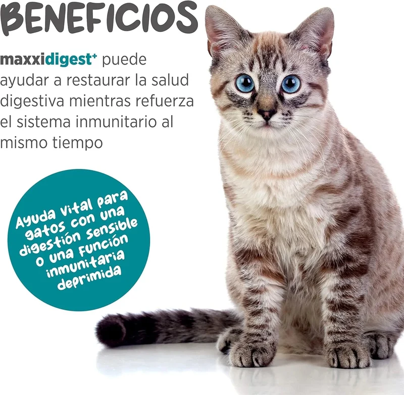 maxxidigest Probióticos, prebióticos e enzimas digestivas para gatos - Ajuda avançada à digestão felina e ao sistema imunitário, sem pó OGM