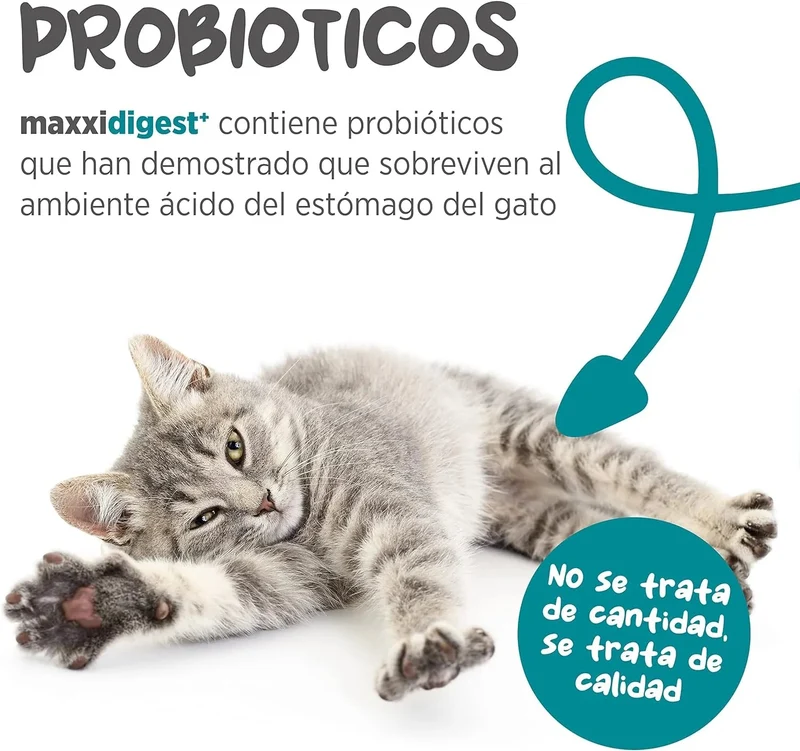maxxidigest Probióticos, prebióticos e enzimas digestivas para gatos - Ajuda avançada à digestão felina e ao sistema imunitário, sem pó OGM