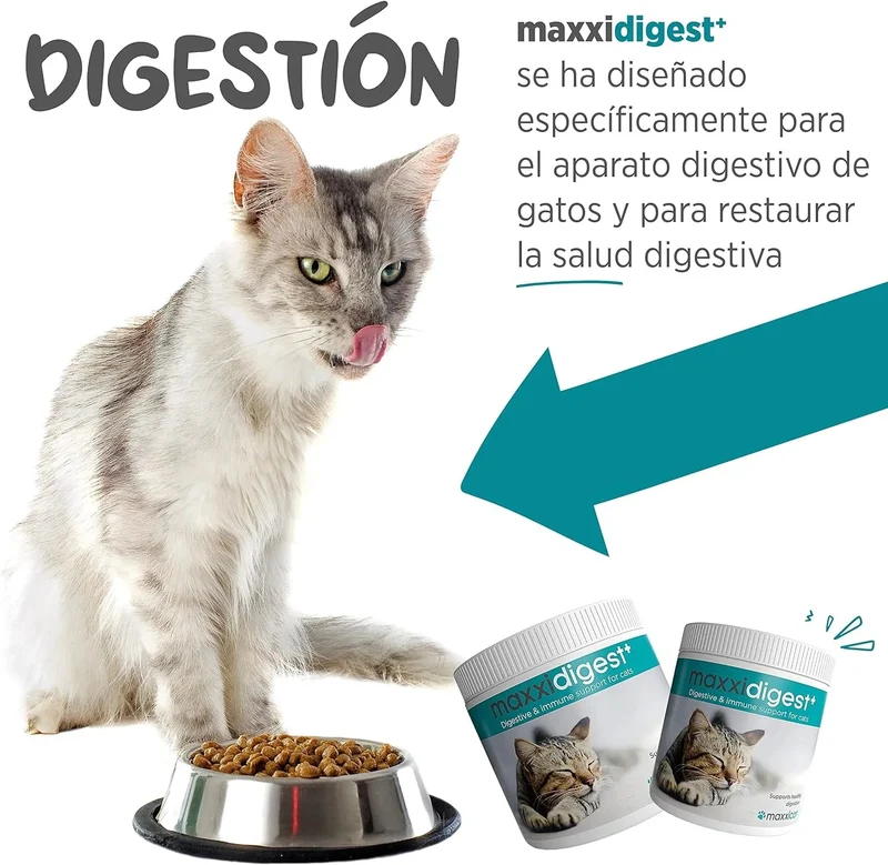 maxxidigest Probióticos, prebióticos e enzimas digestivas para gatos - Ajuda avançada à digestão felina e ao sistema imunitário, sem pó OGM