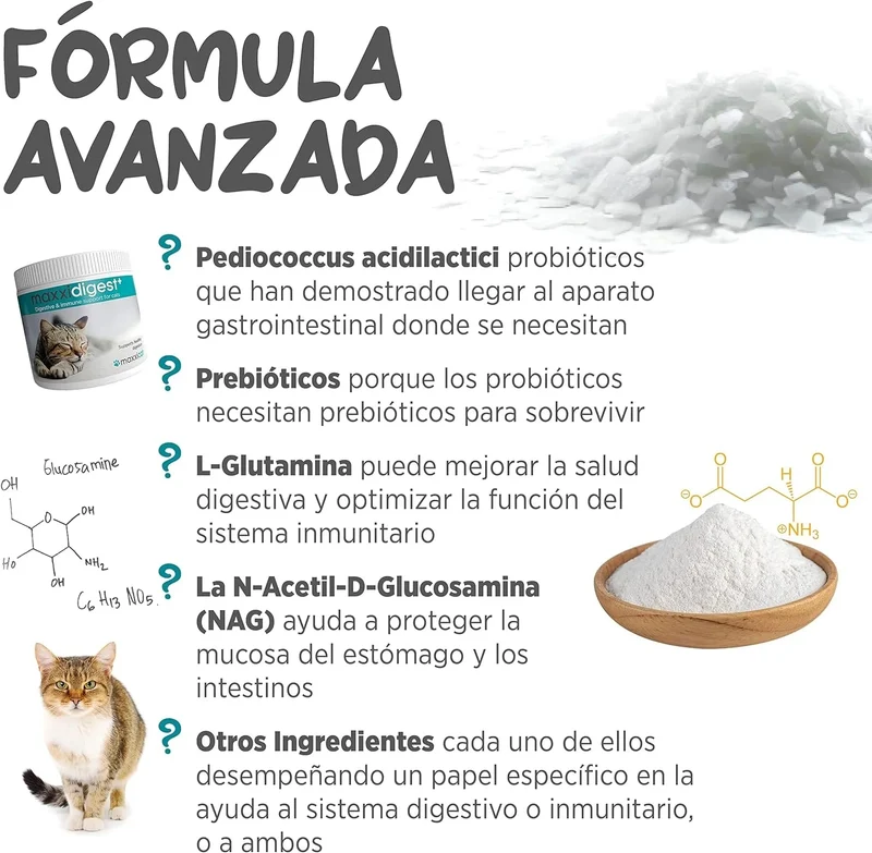 maxxidigest Probióticos, prebióticos e enzimas digestivas para gatos - Ajuda avançada à digestão felina e ao sistema imunitário, sem pó OGM