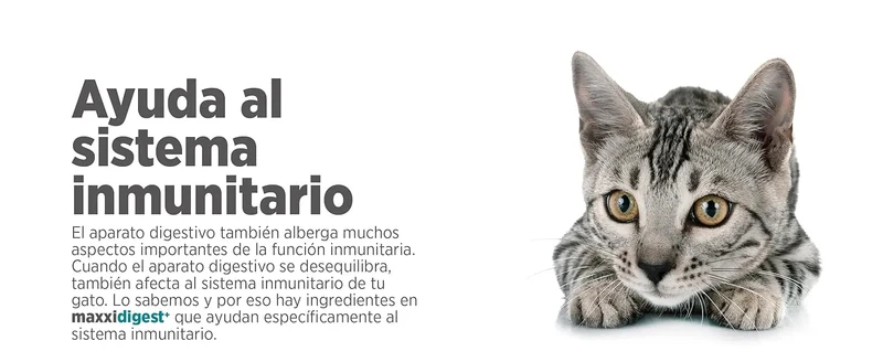 maxxidigest Probióticos, prebióticos e enzimas digestivas para gatos - Ajuda avançada à digestão felina e ao sistema imunitário, sem pó OGM