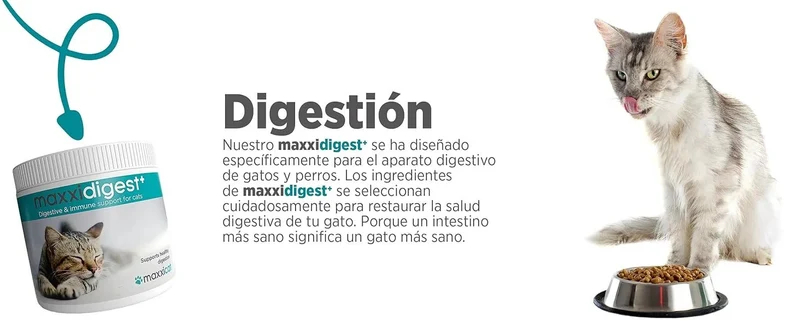 maxxidigest Probióticos, prebióticos e enzimas digestivas para gatos - Ajuda avançada à digestão felina e ao sistema imunitário, sem pó OGM