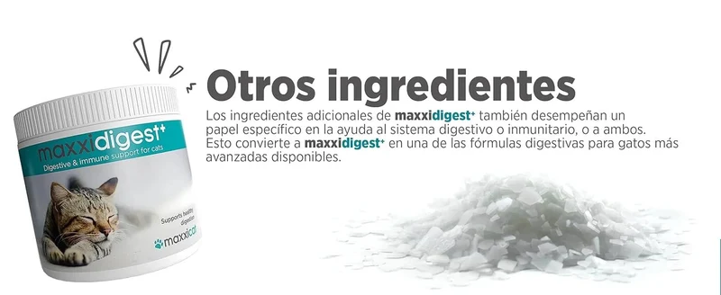 maxxidigest Probióticos, prebióticos e enzimas digestivas para gatos - Ajuda avançada à digestão felina e ao sistema imunitário, sem pó OGM