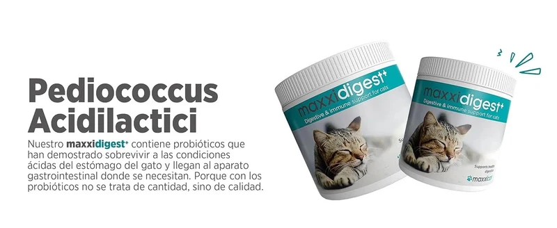 maxxidigest Probióticos, prebióticos e enzimas digestivas para gatos - Ajuda avançada à digestão felina e ao sistema imunitário, sem pó OGM