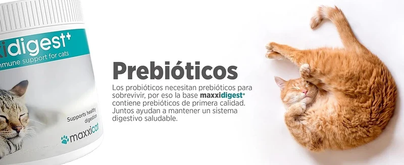 maxxidigest Probióticos, prebióticos e enzimas digestivas para gatos - Ajuda avançada à digestão felina e ao sistema imunitário, sem pó OGM