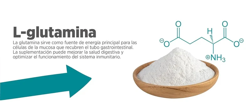 maxxidigest Probióticos, prebióticos e enzimas digestivas para gatos - Ajuda avançada à digestão felina e ao sistema imunitário, sem pó OGM