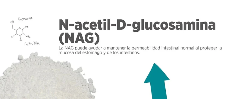 maxxidigest Probióticos, prebióticos e enzimas digestivas para gatos - Ajuda avançada à digestão felina e ao sistema imunitário, sem pó OGM