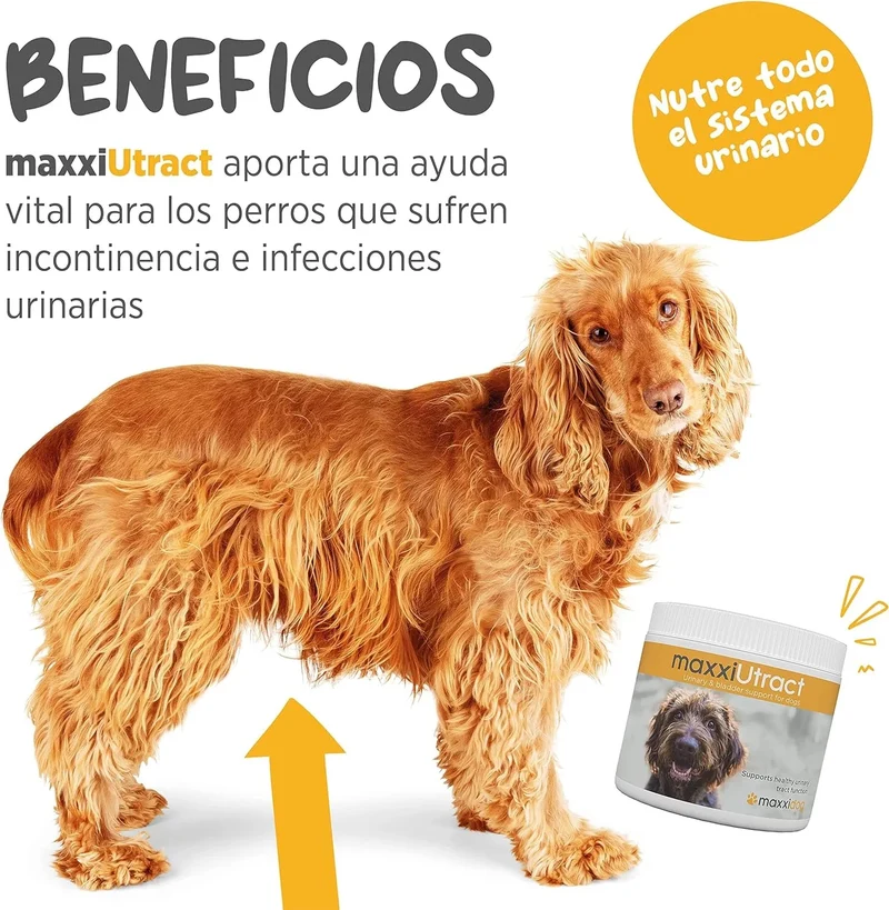 Suplemento urinário e vesical para cães maxxiUtract - ajuda à saúde do sistema urinário, controlo da bexiga e recorrência de ITU - com mirtilos - em pó 150 gr
