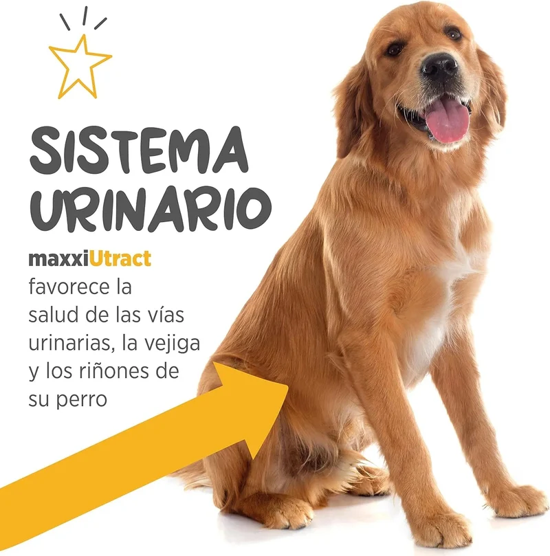 Suplemento urinário e vesical para cães maxxiUtract - ajuda à saúde do sistema urinário, controlo da bexiga e recorrência de ITU - com mirtilos - em pó 150 gr