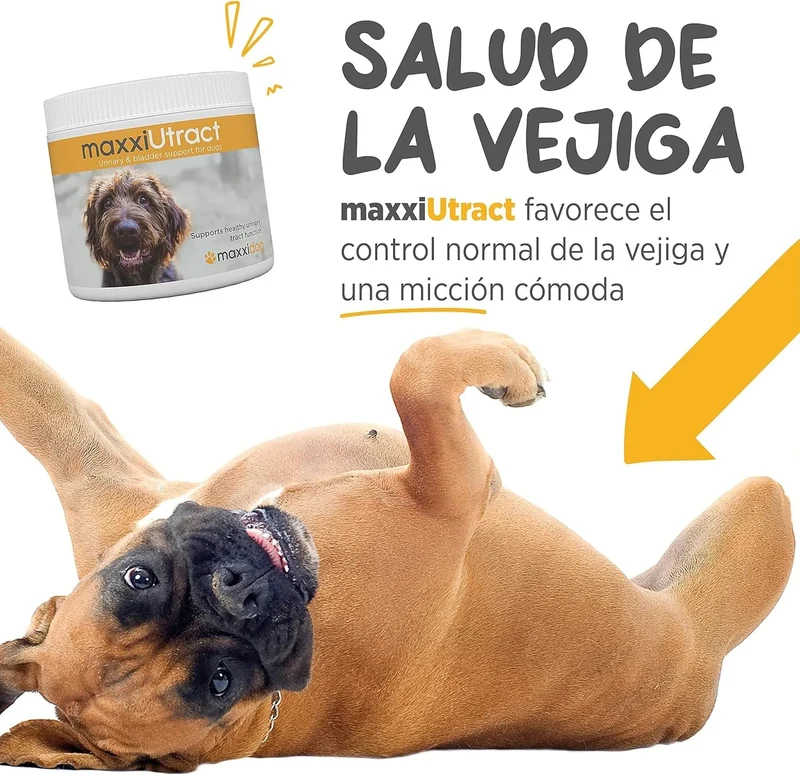 Suplemento urinário e vesical para cães maxxiUtract - ajuda à saúde do sistema urinário, controlo da bexiga e recorrência de ITU - com mirtilos - em pó 150 gr