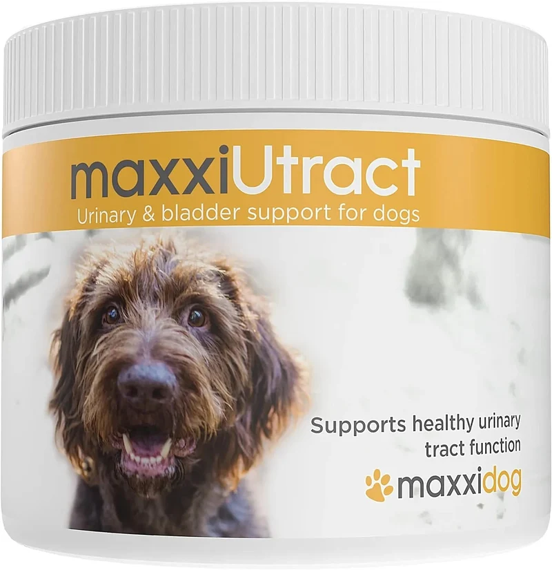 Suplemento urinário e vesical para cães maxxiUtract - ajuda à saúde do sistema urinário, controlo da bexiga e recorrência de ITU - com mirtilos - em pó 150 gr