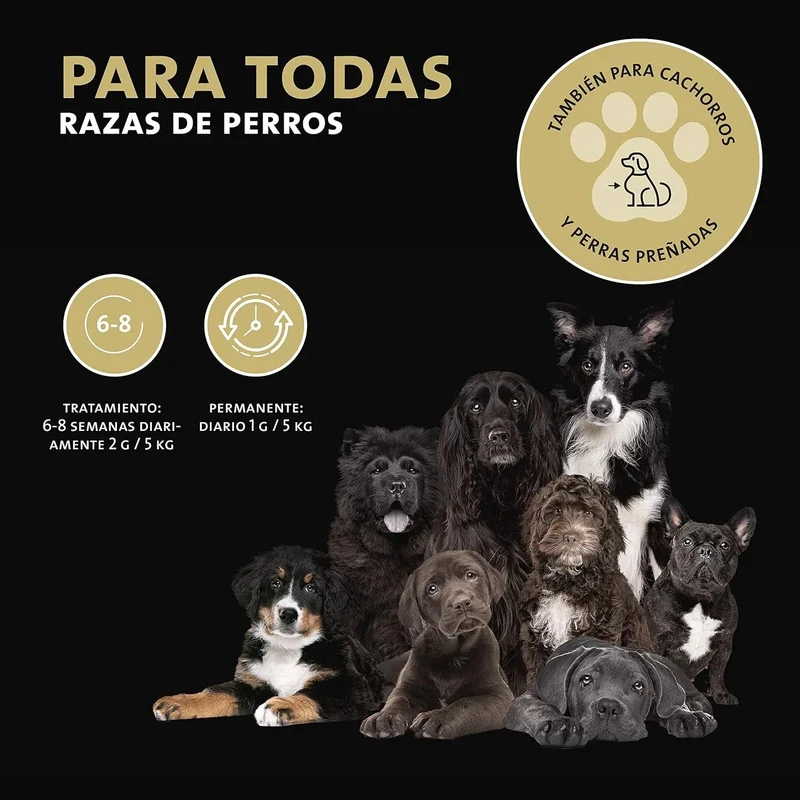 Peticare Pó para as articulações e artrose de cães | com MSM, colagénio | fortalece os ossos | alimento complementar natural