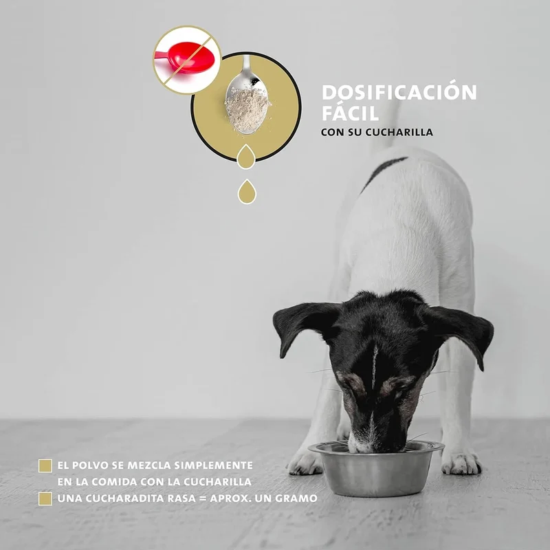 Peticare Pó para as articulações e artrose de cães | com MSM, colagénio | fortalece os ossos | alimento complementar natural
