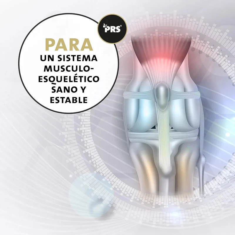 Peticare Pó para as articulações e artrose de cães | com MSM, colagénio | fortalece os ossos | alimento complementar natural