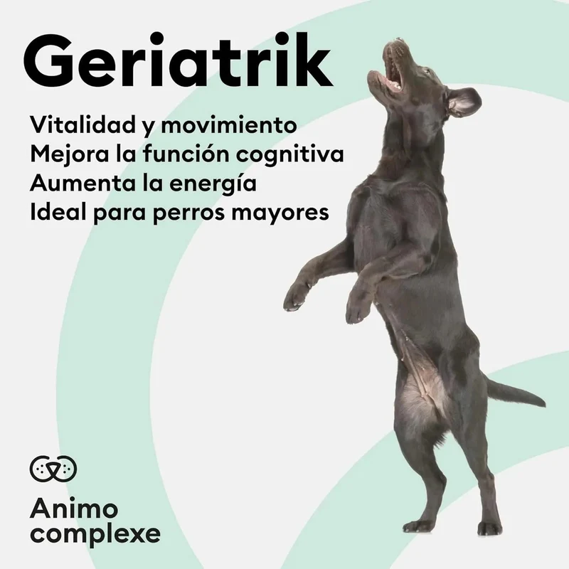 ANIMO-COMPLEXE | Articulações cães idosos | Articulações suplementos cães | anti-inflamatório cães, melhora a mobilidade e agilidade