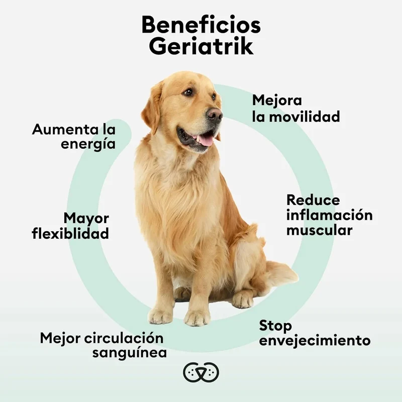 ANIMO-COMPLEXE | Articulações cães idosos | Articulações suplementos cães | anti-inflamatório cães, melhora a mobilidade e agilidade