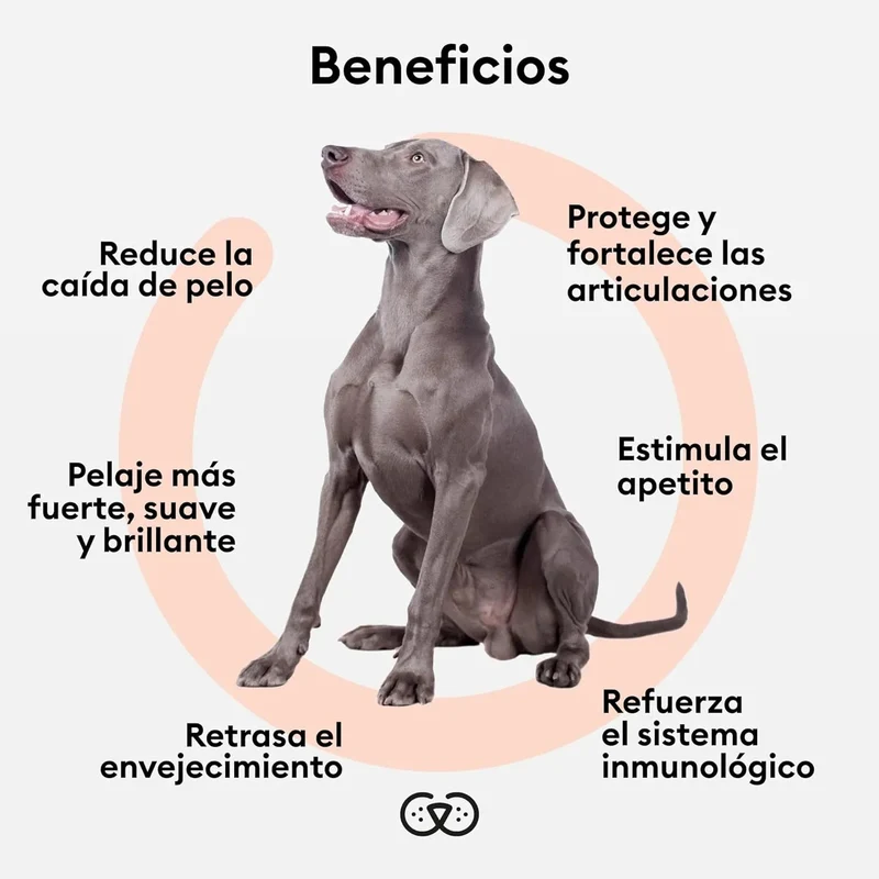ANIMO-COMPLEXE | Óleo de salmão para cães | rico em ômega 3, 6 e 9 | Melhora e reduz a queda de pelo