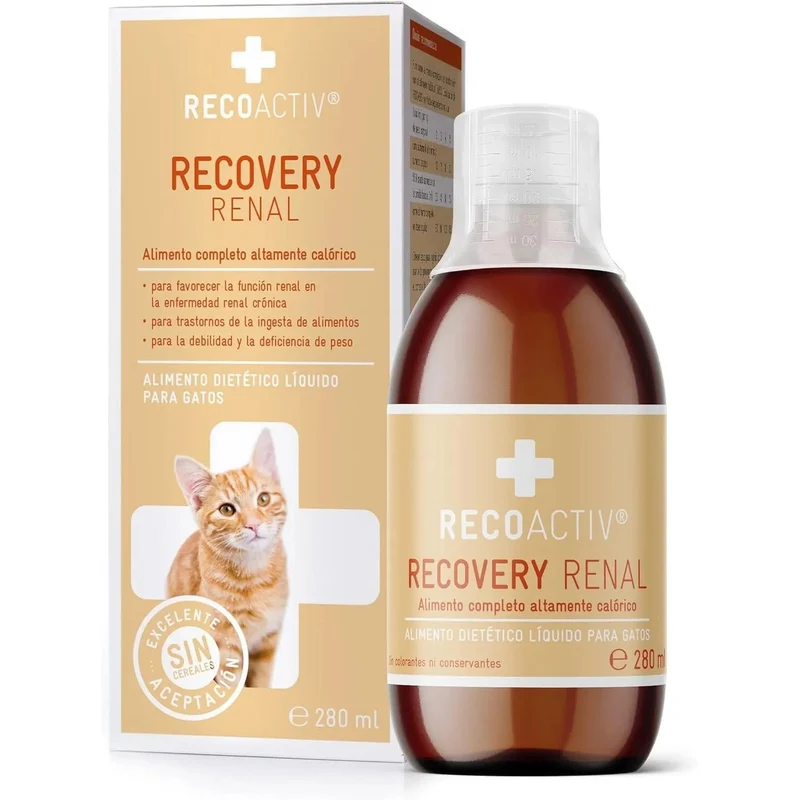 RECOACTIV Recovery renal para gatos, 1 x 280 ml, alimento dietético completo de alto teor calórico para disfunção renal e aumento das necessidades energéticas