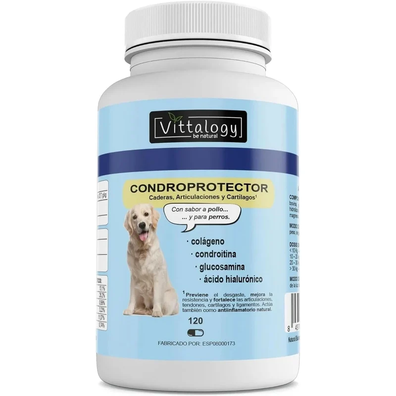 VITTALOGY Condroprotetor para cães. Anti-inflamatório natural com colagénio, condroitina, hialurónico e açafrão. Complemento alimentar para quadris, articulações e cartilagens (120 cápsulas)