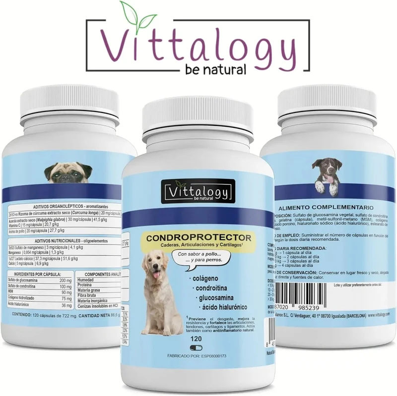 VITTALOGY Condroprotetor para cães. Anti-inflamatório natural com colagénio, condroitina, hialurónico e açafrão. Complemento alimentar para quadris, articulações e cartilagens (120 cápsulas)