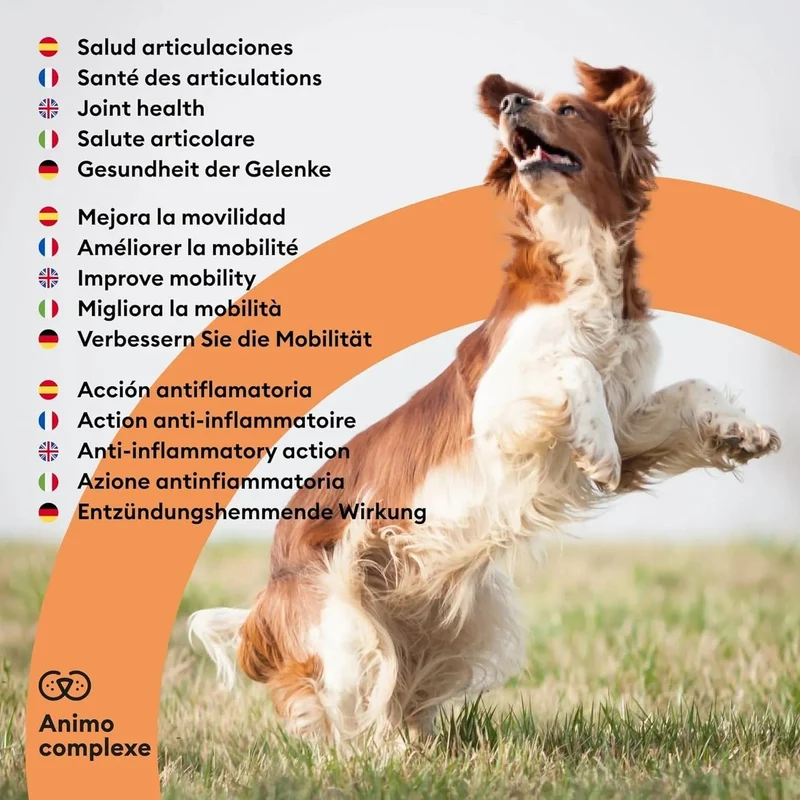ANIMO-COMPLEXE Condroprotetor para cães, harpagófito para cães, rico em ómega 3, glucosamina, condroitina, açafrão, boswelia, MSM e Vit.E | Melhora a flexibilidade e regeneração da cartilagem
