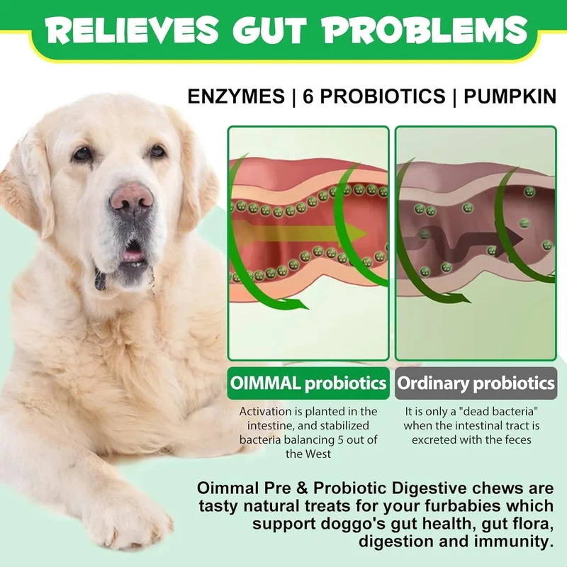 Comprimidos para mastigar probióticos para todos os cães, guloseimas digestivas pré e probióticas (desconforto no estômago, inchaço, comichão, diarreia) (300 gr, 120 unidades)