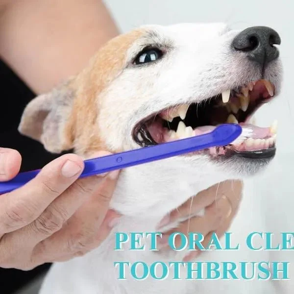 Escova de dentes para cães, 4 escovas de dentes - 2 de 3 cabeças e 2 normais